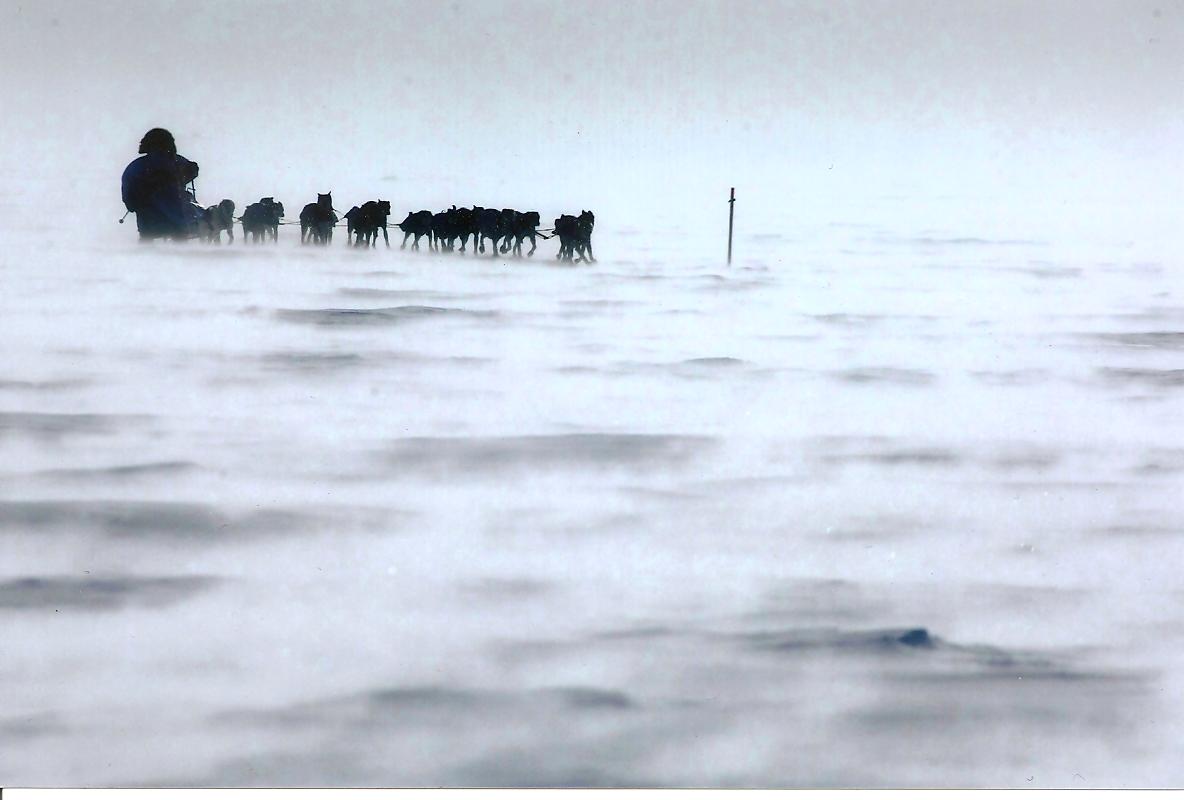 09 Iditarod Pic  2 001